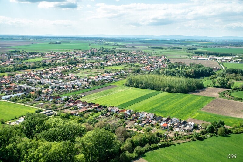 Horne-Saliby-2015-17