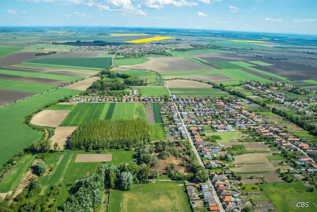 Horne-Saliby-2015-13