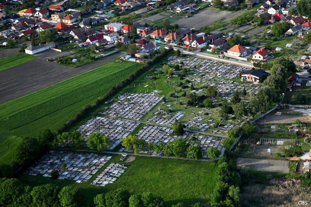 Horne-Saliby-2014-18