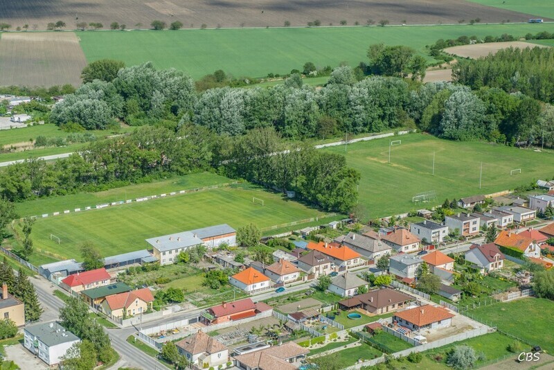 Horne-Saliby-2015-42