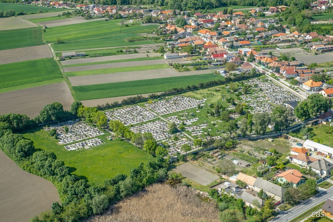 Horne-Saliby-2015-23