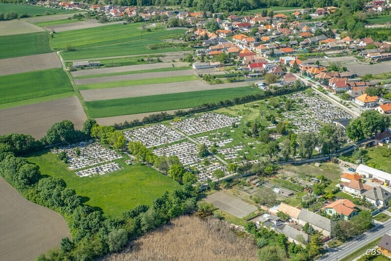 Horne-Saliby-2015-23