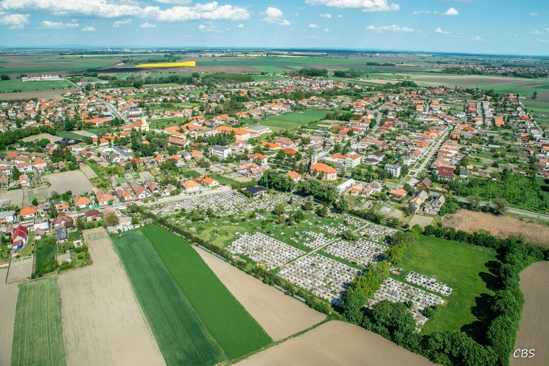 Horne-Saliby-2015-19