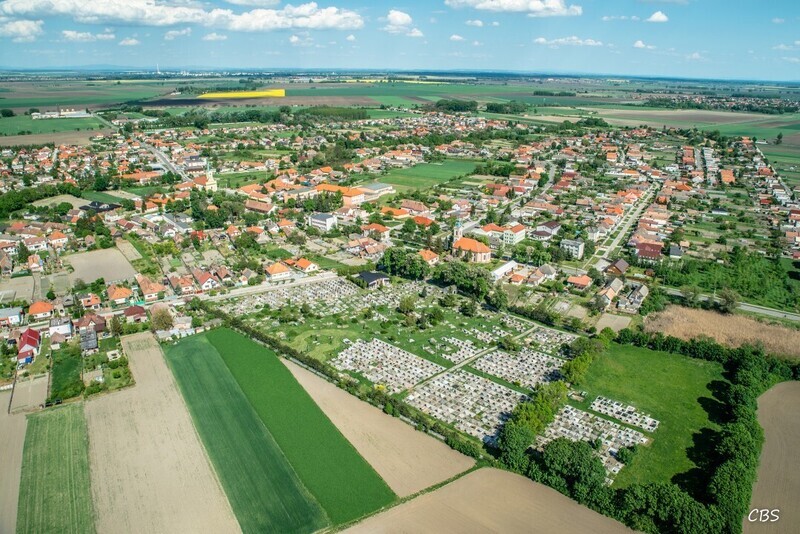 Horne-Saliby-2015-19