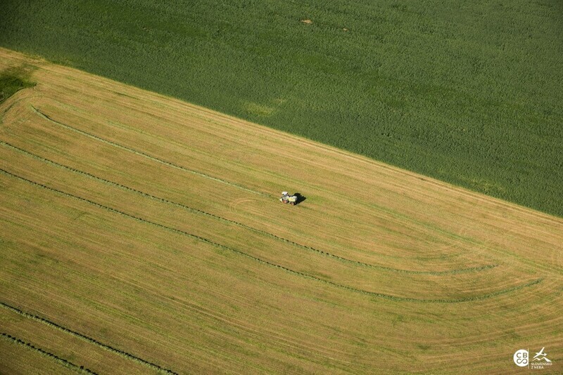 Skalka-nad-Vahom-2017-3