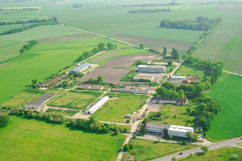 Blatna-na-Ostrove-2016-12