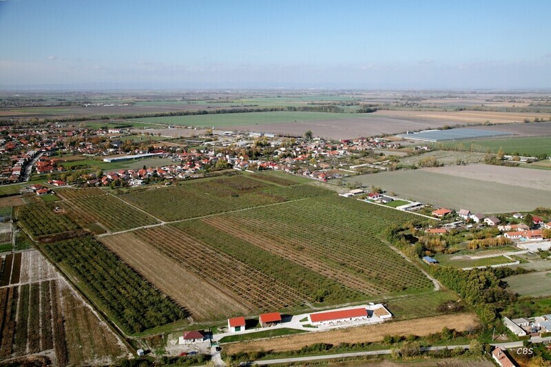 Horna-Poton-2013-20