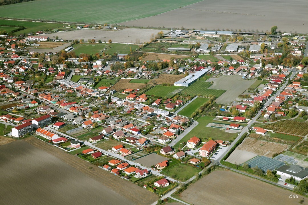 Horna-Poton-2013-4