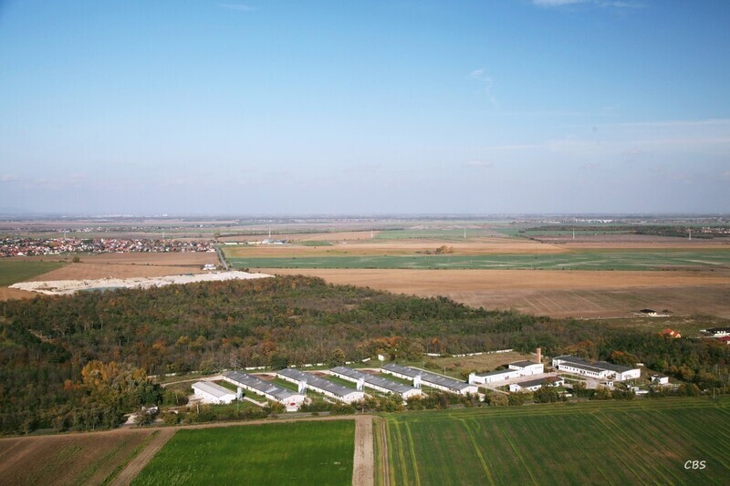 Hviezdoslavov-2013-24