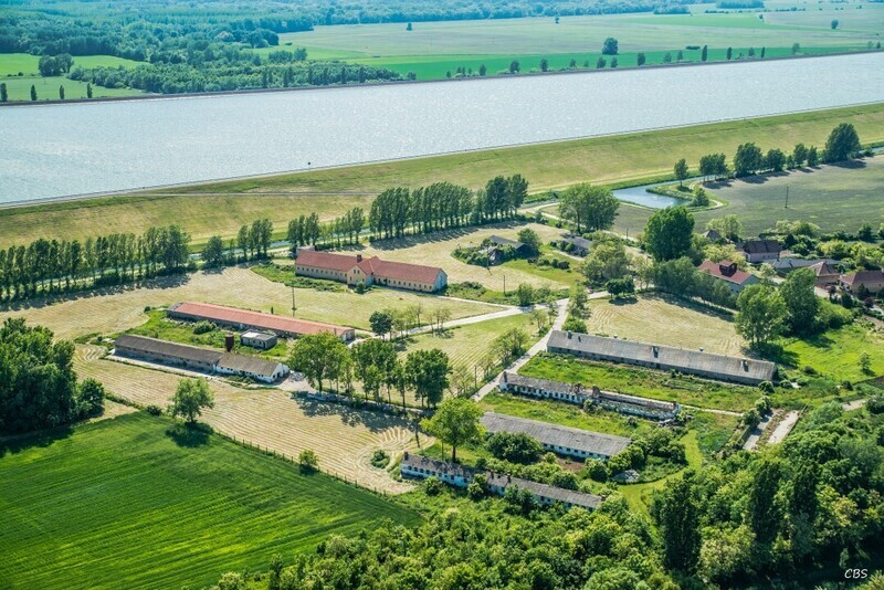 Trstena-na-Ostrove-2016-11