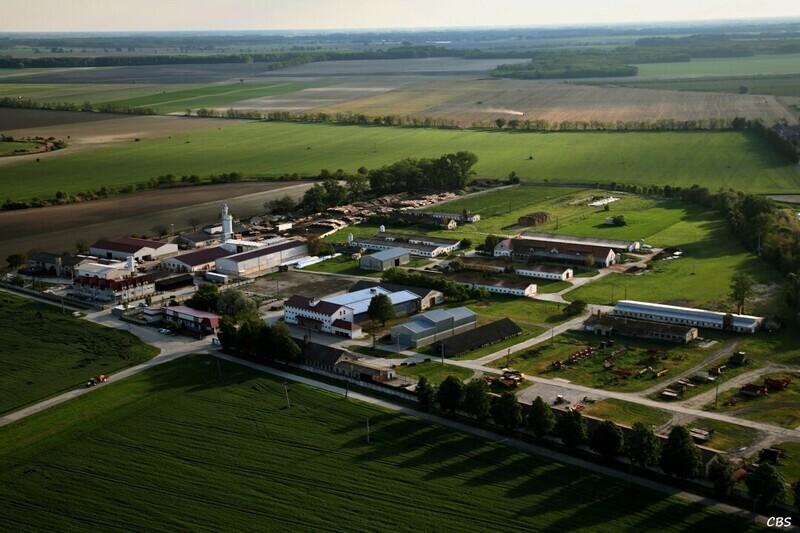 Dolne-Saliby-2014-24