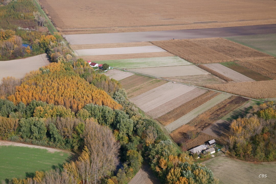 Dolny-Chotar-2013-11