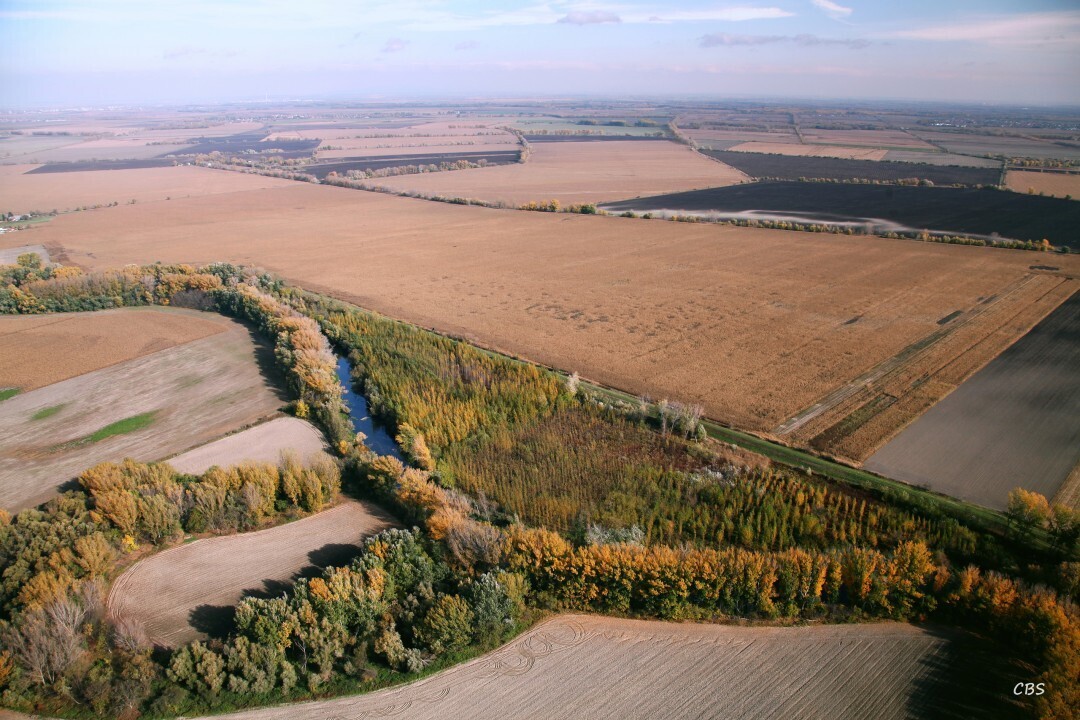 Dolny-Chotar-2013-14