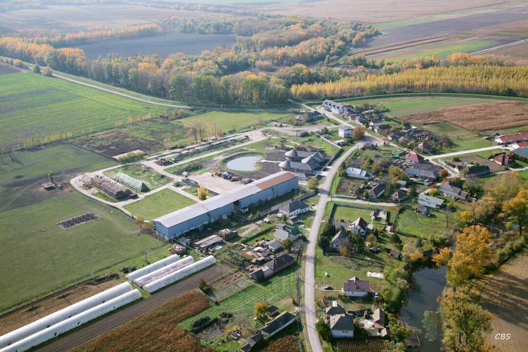 Dolny-Chotar-2013-19