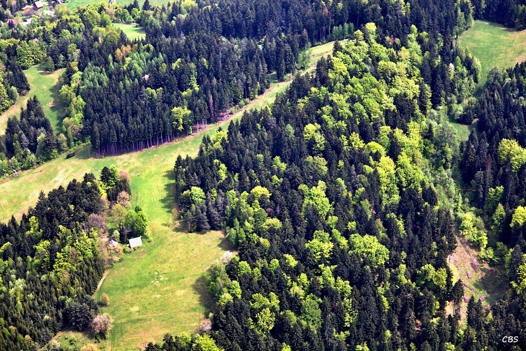 Lazy-pod-Makytou-2013-11