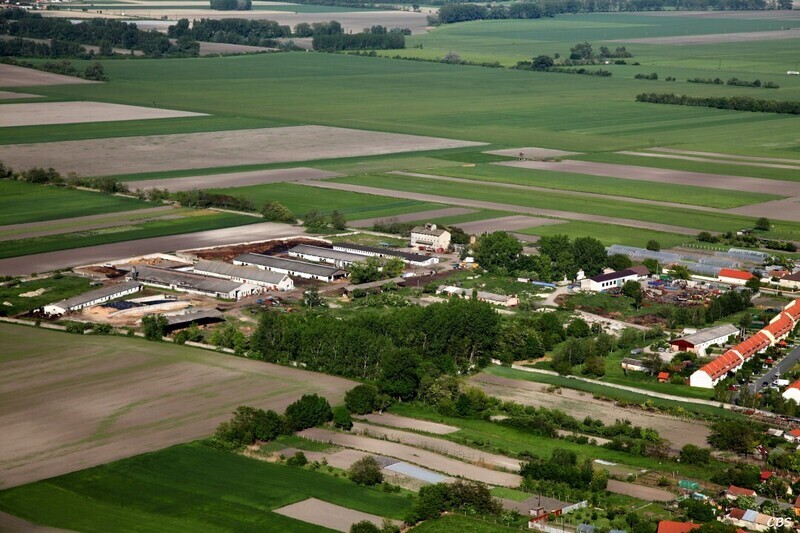 Male-Dvorniky-2014-29