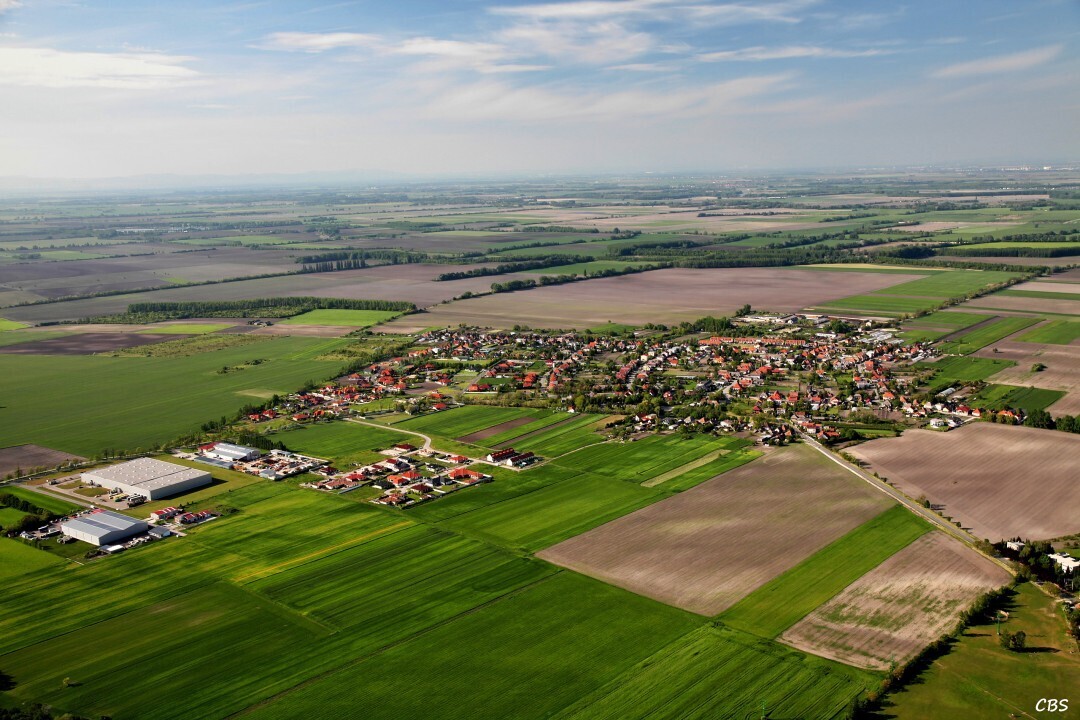 Male-Dvorniky-2014-19