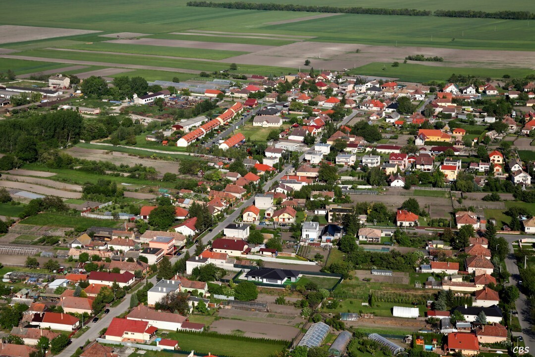 Male-Dvorniky-2014-28