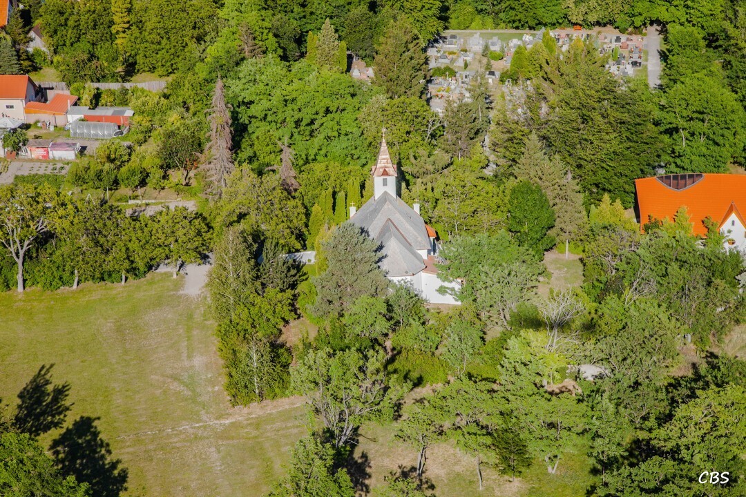 Male-Dvorniky-2014-13