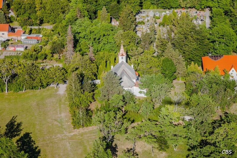 Male-Dvorniky-2014-13