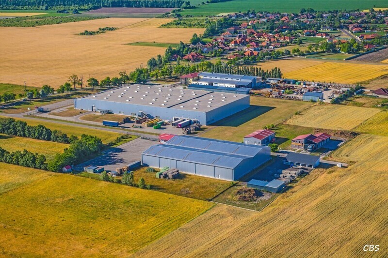 Male-Dvorniky-2014-8