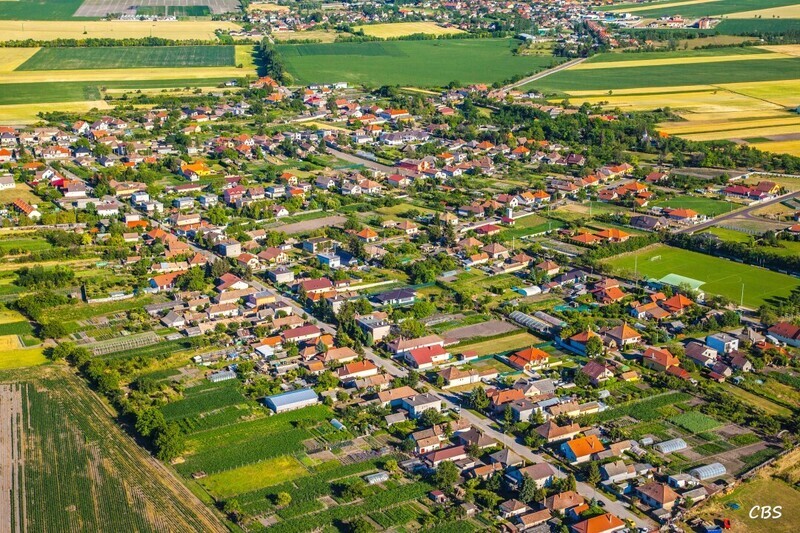 Male-Dvorniky-2014-4