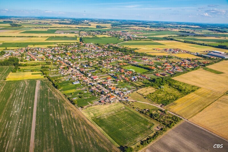 Male-Dvorniky-2014-3