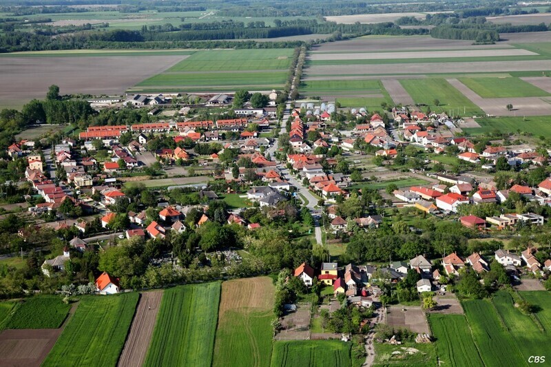 Male-Dvorniky-2014-41