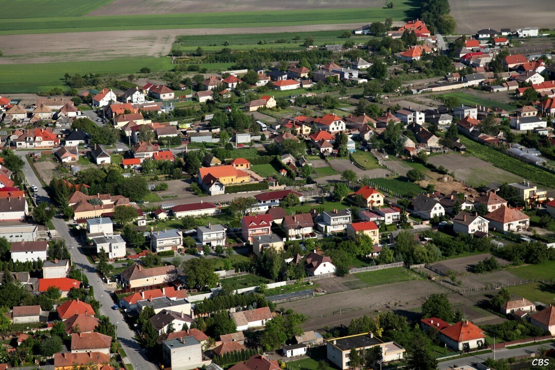 Male-Dvorniky-2014-32