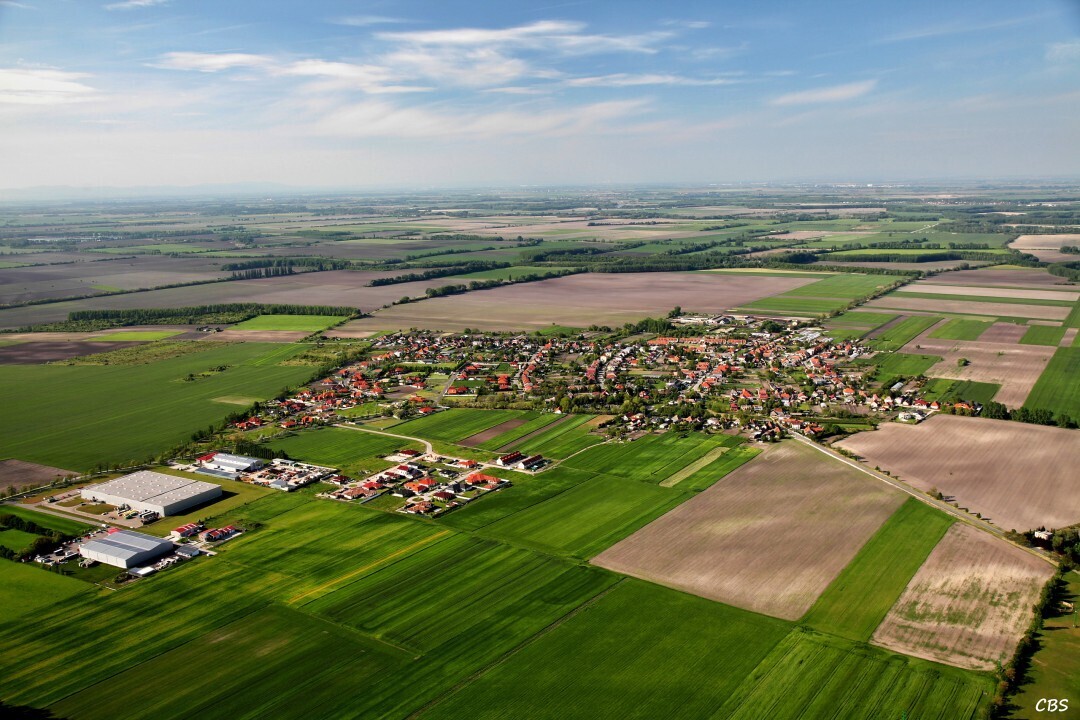 Male-Dvorniky-2014-21