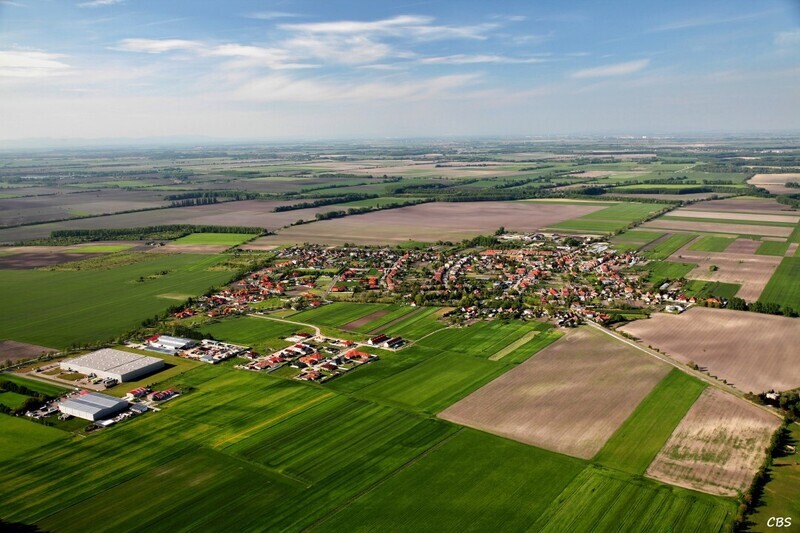 Male-Dvorniky-2014-21