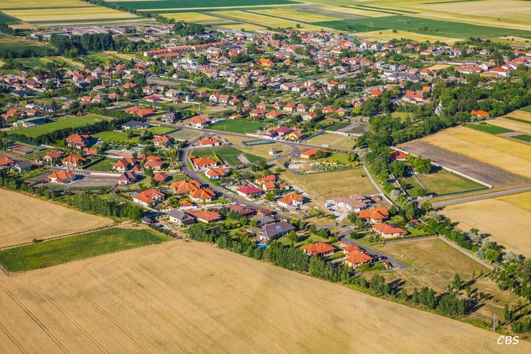 Male-Dvorniky-2014-2