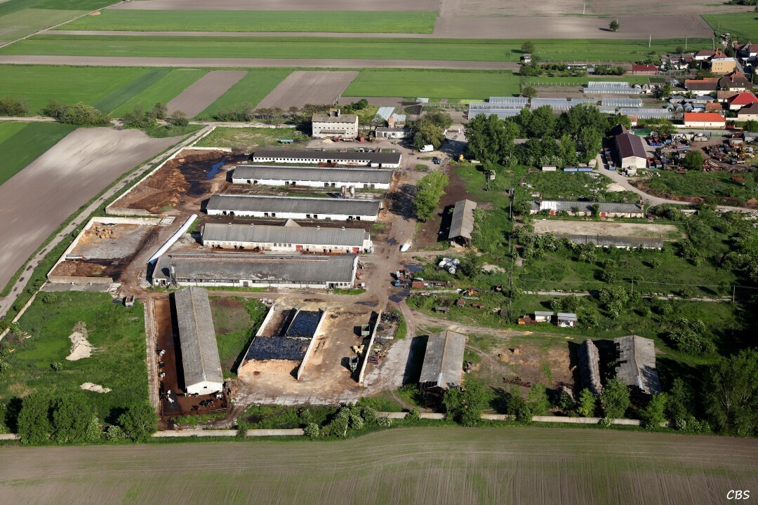 Male-Dvorniky-2014-33