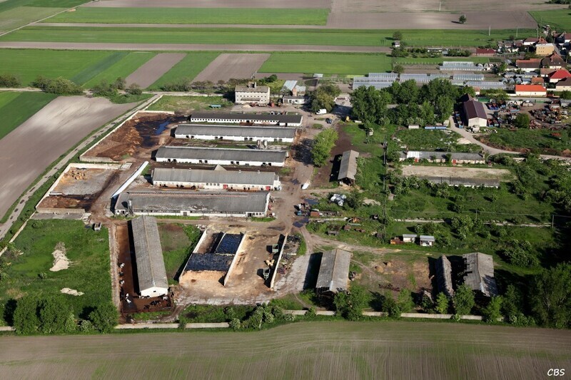 Male-Dvorniky-2014-33