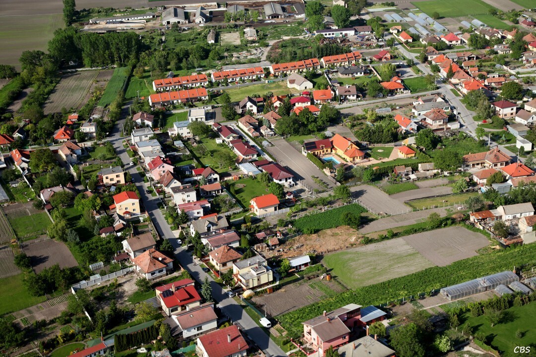 Male-Dvorniky-2014-44