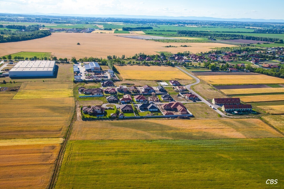 Male-Dvorniky-2014-6