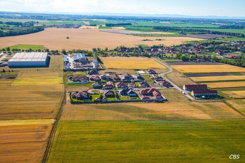 Male-Dvorniky-2014-6