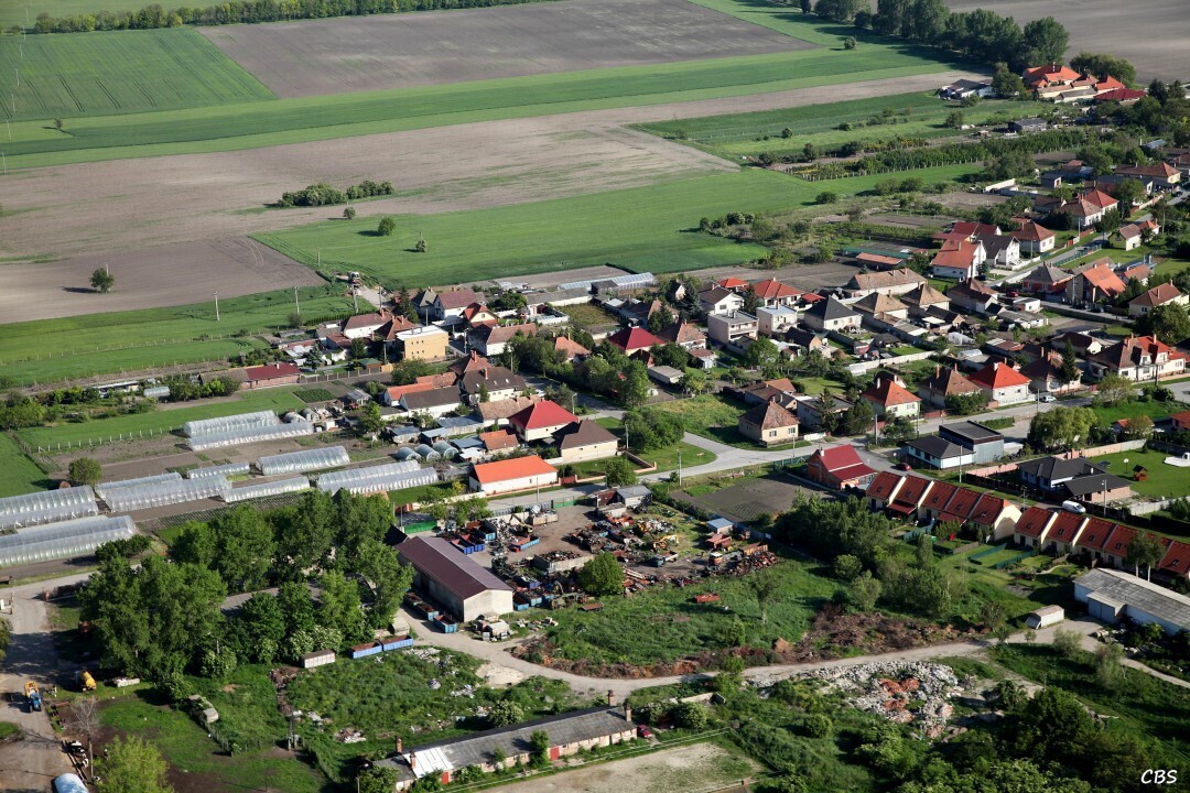 Male-Dvorniky-2014-34