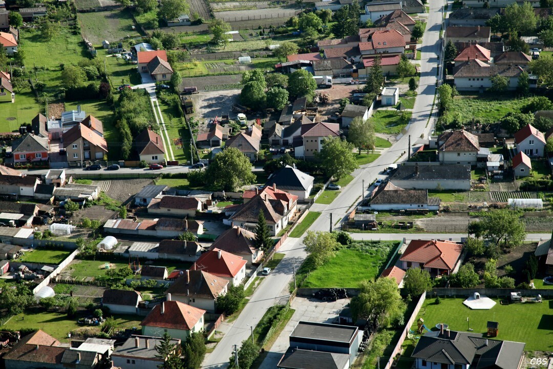 Male-Dvorniky-2014-37