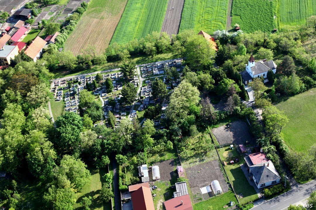 Male-Dvorniky-2014-43