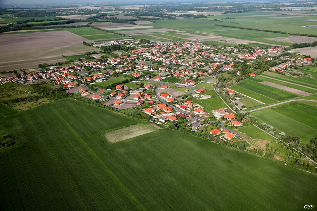 Male-Dvorniky-2014-25