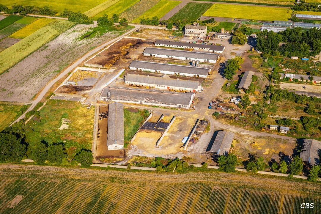 Male-Dvorniky-2014-5