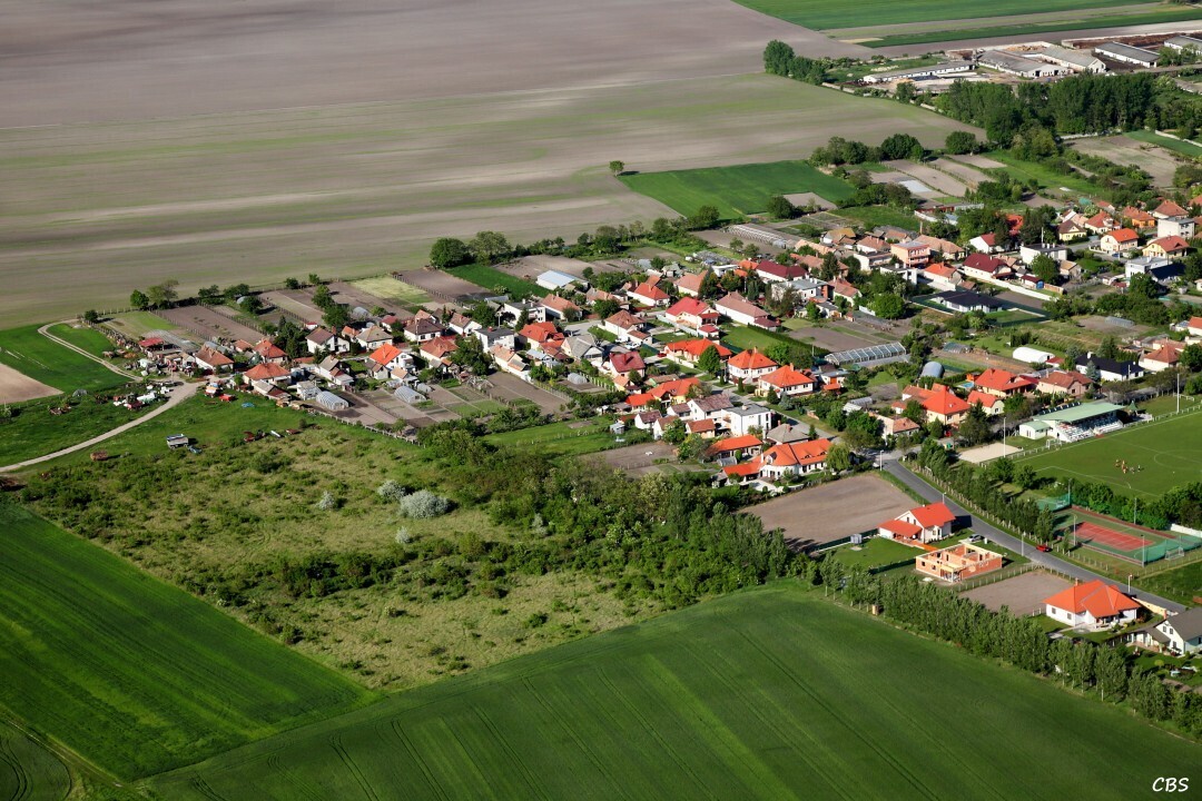 Male-Dvorniky-2014-26