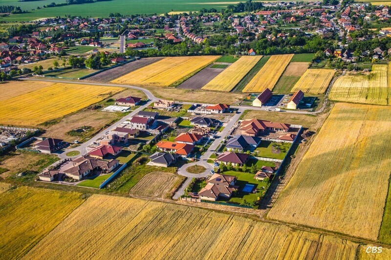 Male-Dvorniky-2014-7