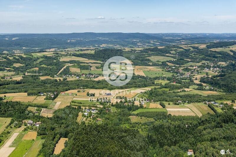 Kolaczyce_CBS_2020_DSC_1442