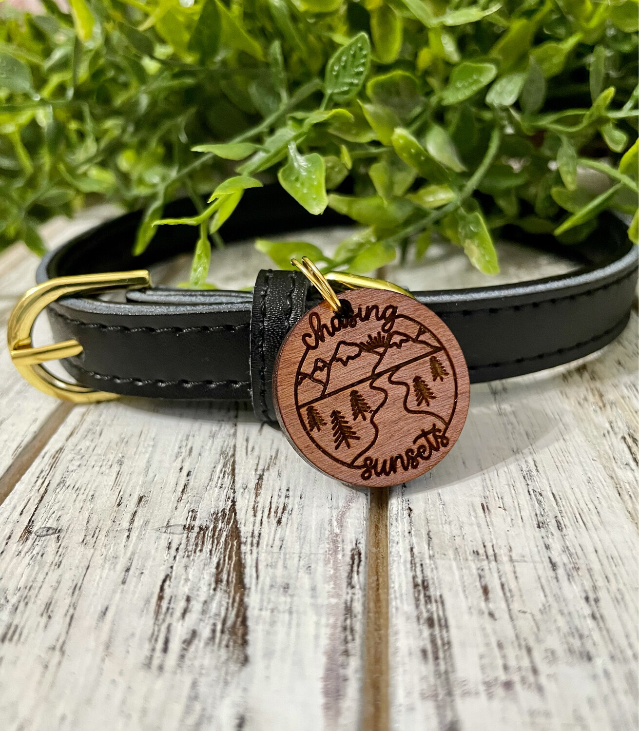 Pet Novelty Tag (Chasing Sunsets)