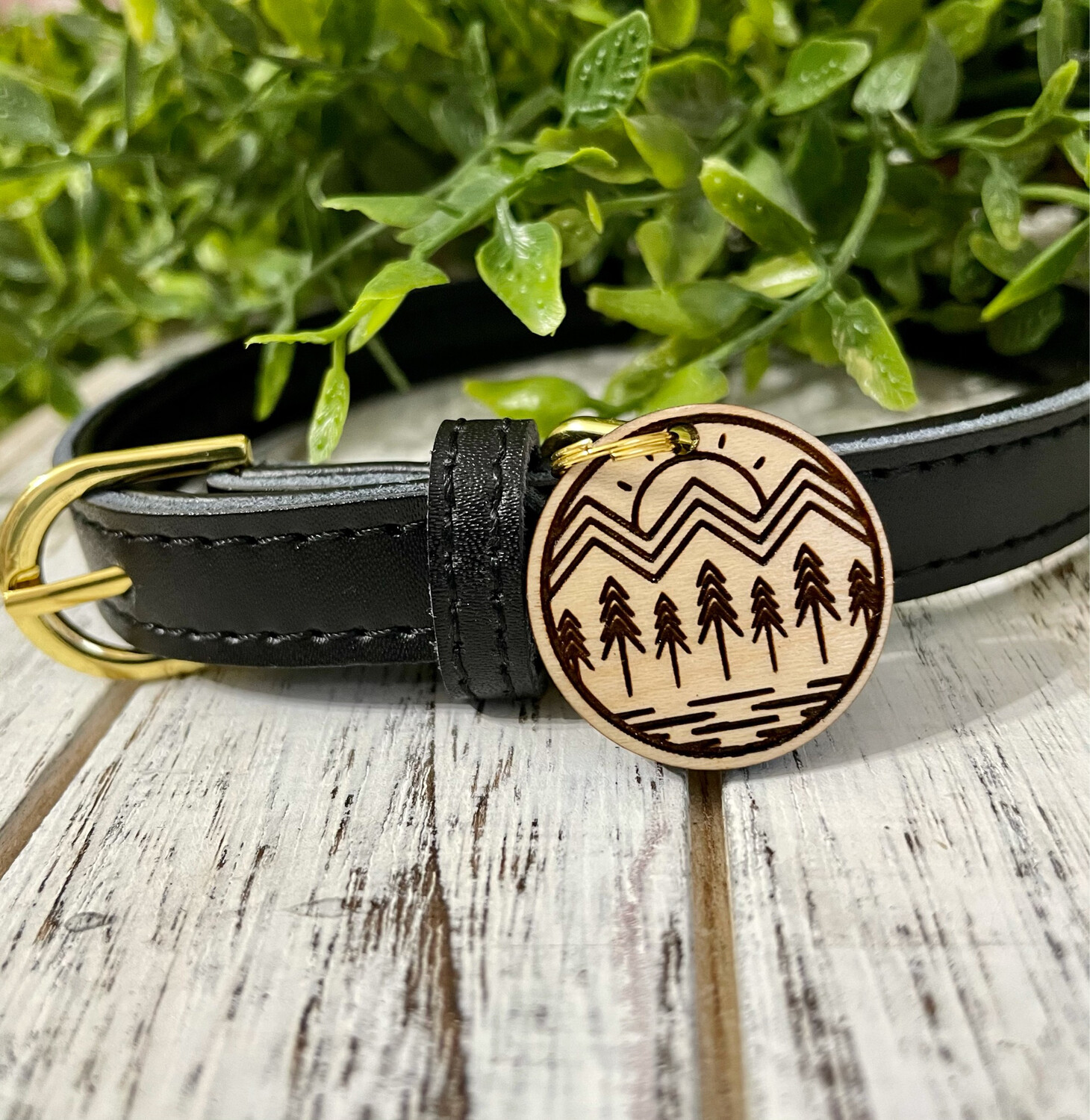 Pet Novelty Tag (Sunrise)