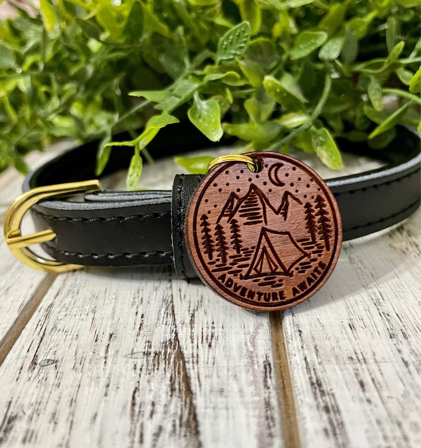 Pet Novelty Tag (Adventure Awaits)