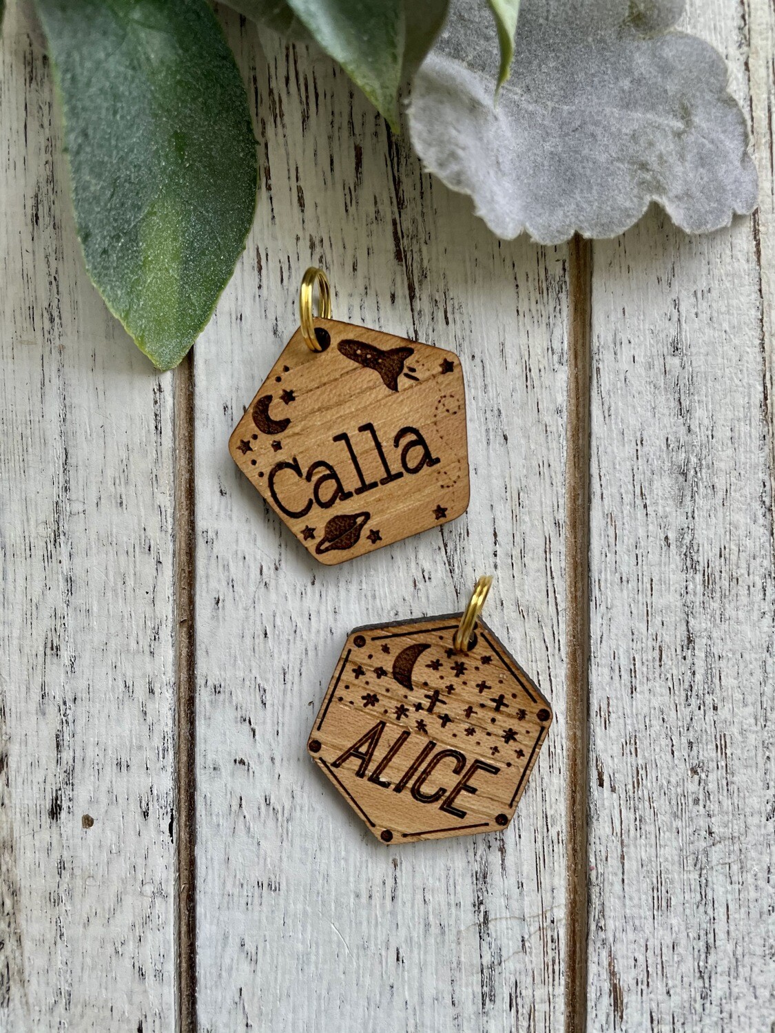 Pet Tags (Set of 17) DIGITAL FILE ONLY