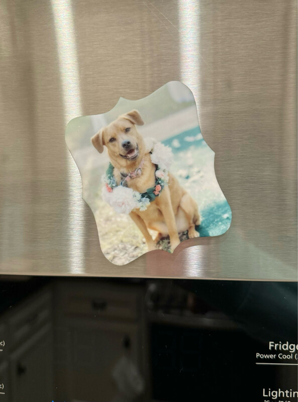 Custom Photo Magnet (White Acrylic)
